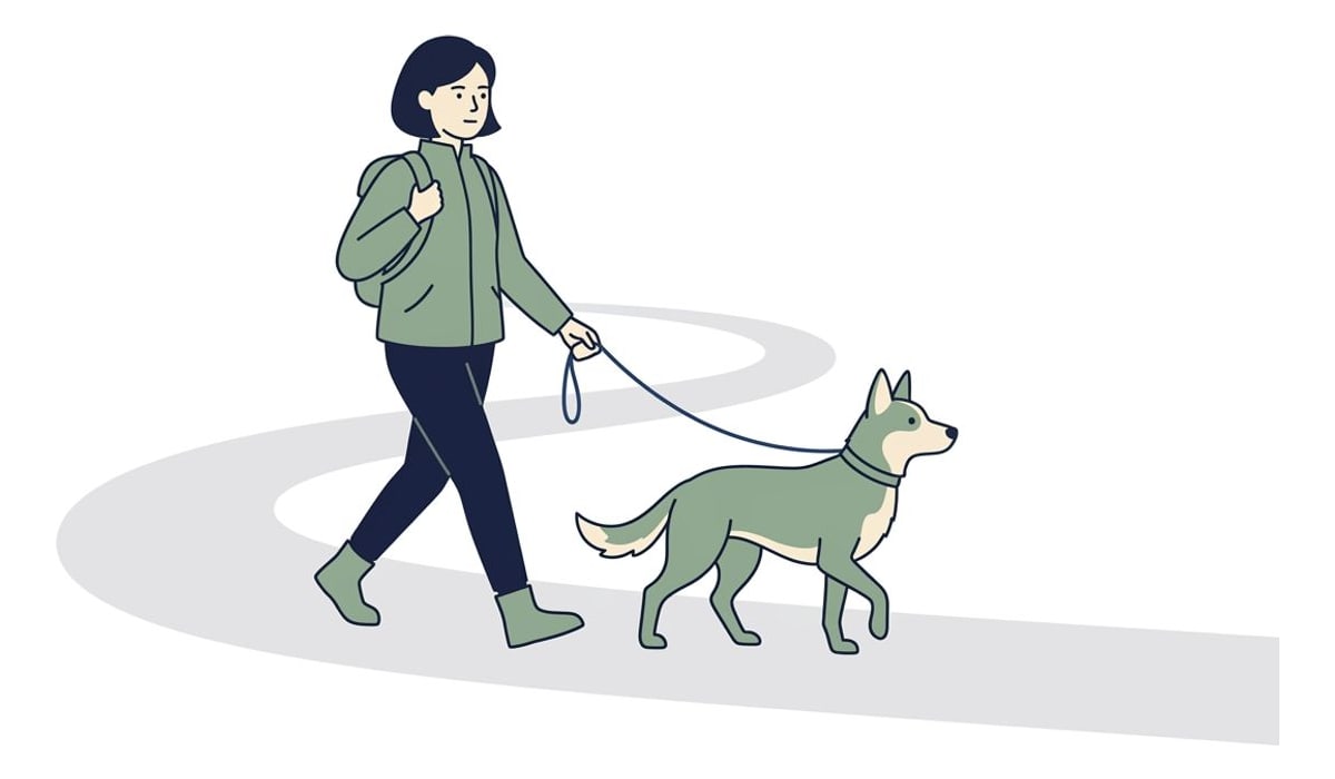 Una persona paseando tranquilamente a su perro con la correa floja